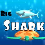 Big Shark Game
