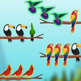 Bird Sorting Challenge Game