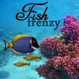 Fish Madness Game