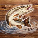 Game Fish Rain