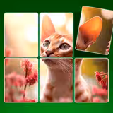 Jigsaw Solitaire game