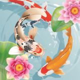 Koi Fish Pond Game