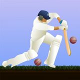Little Master Cricket Game