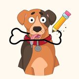 Complete the Puzzle game