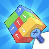 Game Przem Puzzle with Screws