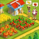 The Fazenda game