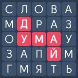 Fillwords game